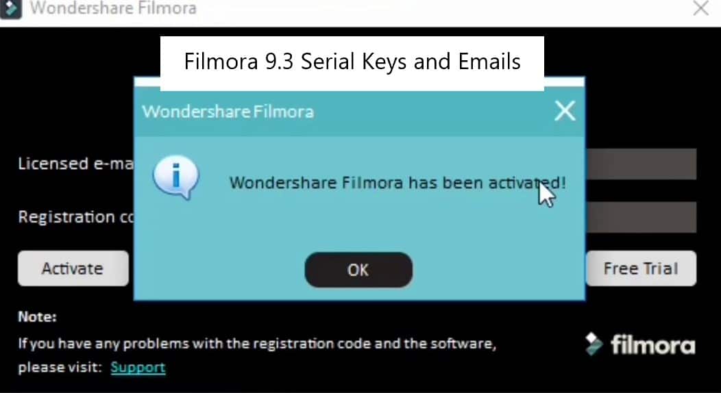 does filmora license work for both mac and windows